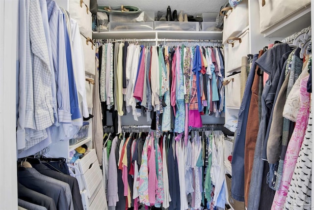 view of walk in closet