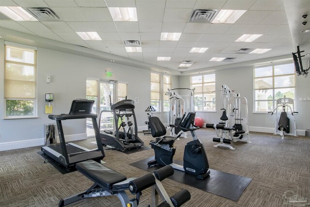 gym with carpet, baseboards, and a paneled ceiling