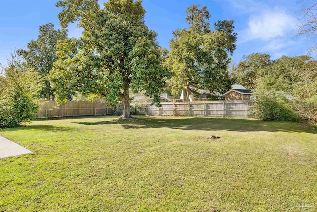 view of yard with a fenced backyard