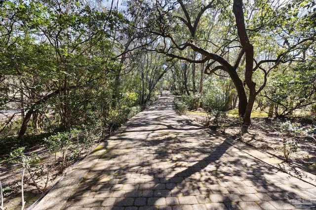 721 W Miracle Strip Pkwy, Mary Esther, FL 32569 - view of street featuring a wooded view