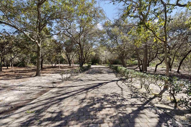 721 W Miracle Strip Pkwy, Mary Esther, FL 32569 - view of road
