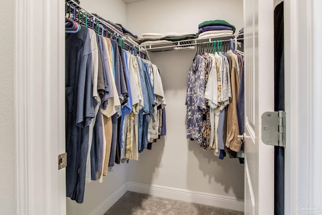 spacious closet with carpet flooring