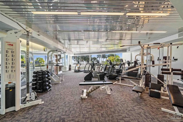 workout area featuring carpet flooring