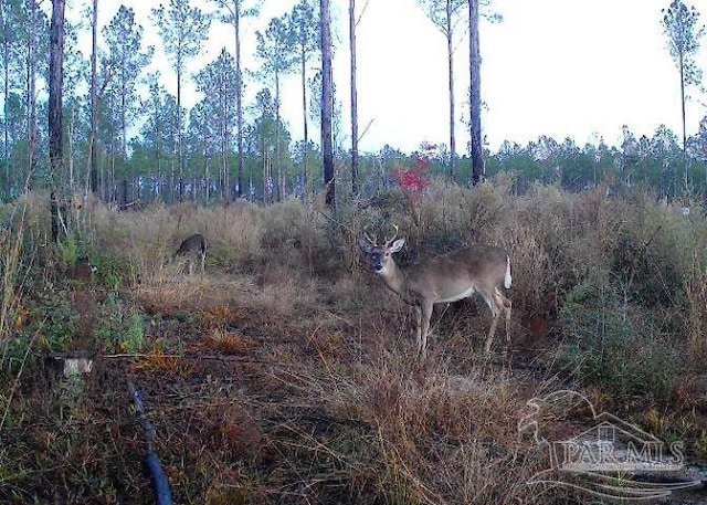 Listing photo 2 for 0016 Indian Ford Rd, Milton FL 32570