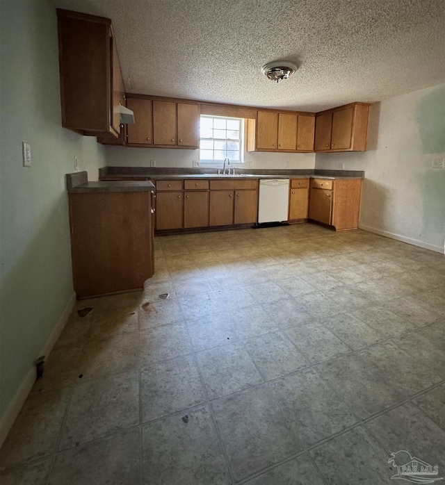 kitchen with sink, dishwasher, and ventilation hood