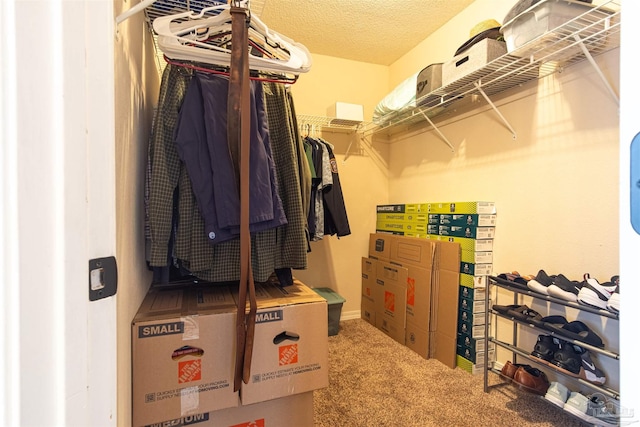 walk in closet with carpet floors