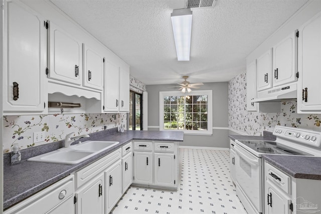 4831 E Olive Rd Unit 2A, Pensacola, FL 32514 - kitchen featuring under cabinet range hood, white electric range, a sink, dark countertops, and wallpapered walls