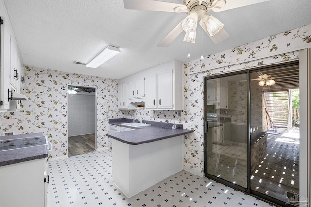 4831 E Olive Rd Unit 2A, Pensacola, FL 32514 - kitchen featuring wallpapered walls, dark countertops, a sink, a ceiling fan, and white cabinetry