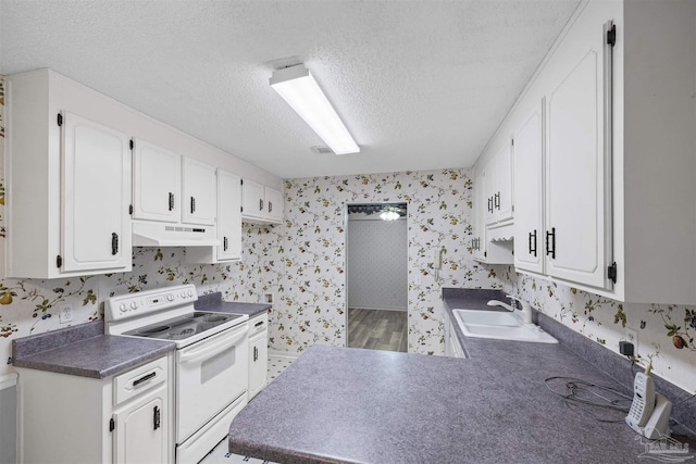 4831 E Olive Rd Unit 2A, Pensacola, FL 32514 - kitchen with white range with electric stovetop, wallpapered walls, under cabinet range hood, a sink, and a textured ceiling