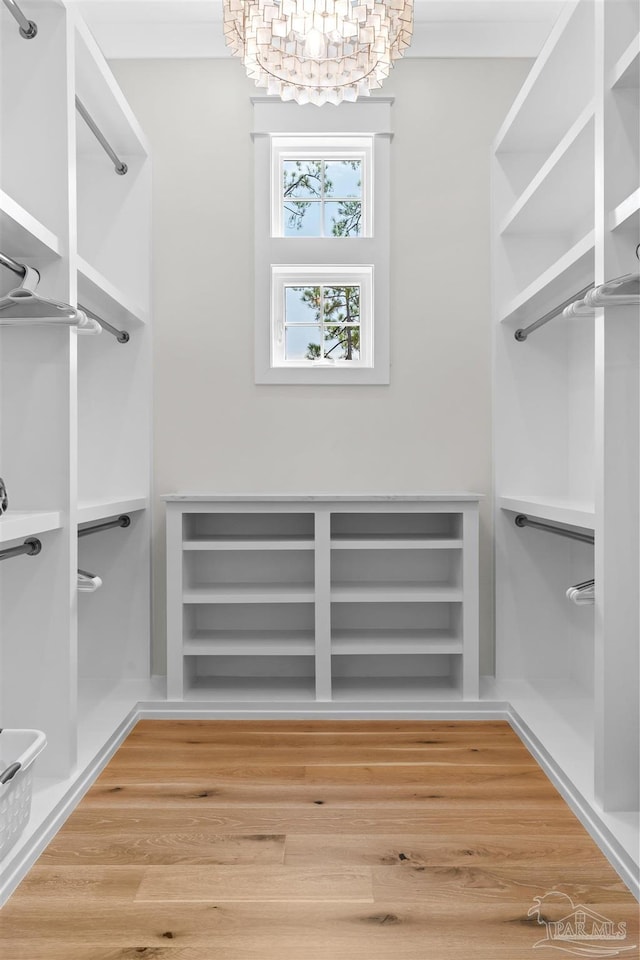 walk in closet with a chandelier and hardwood / wood-style floors