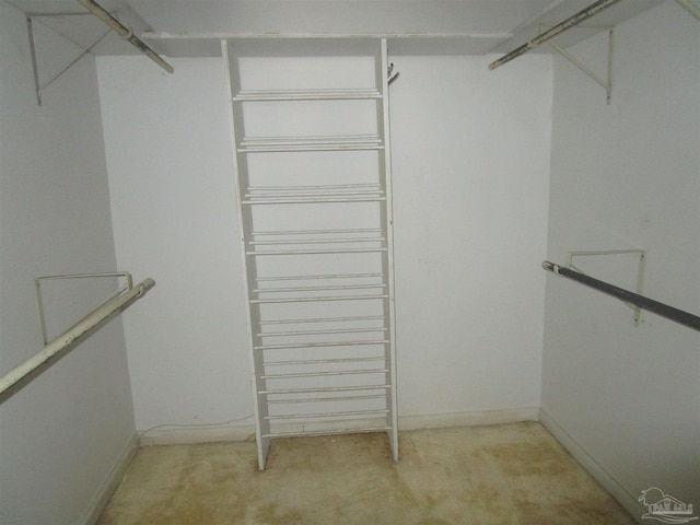 walk in closet with light colored carpet