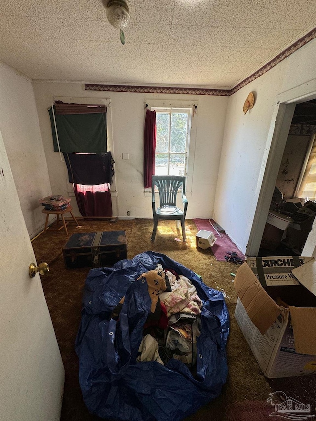 bedroom featuring a textured ceiling and carpet