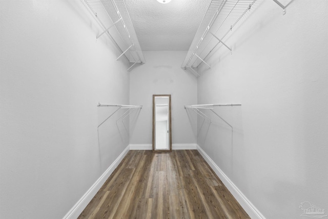 5732 Dove Dr, Pace, FL 32571 - spacious closet with wood finished floors