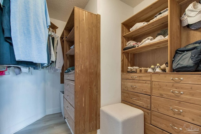 walk in closet with light wood finished floors