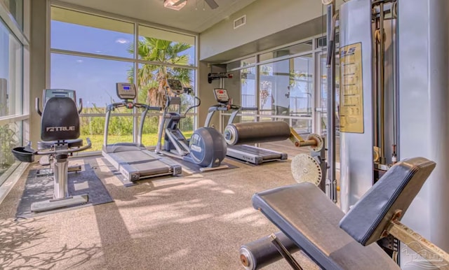 workout area with a wall of windows, carpet flooring, plenty of natural light, and visible vents