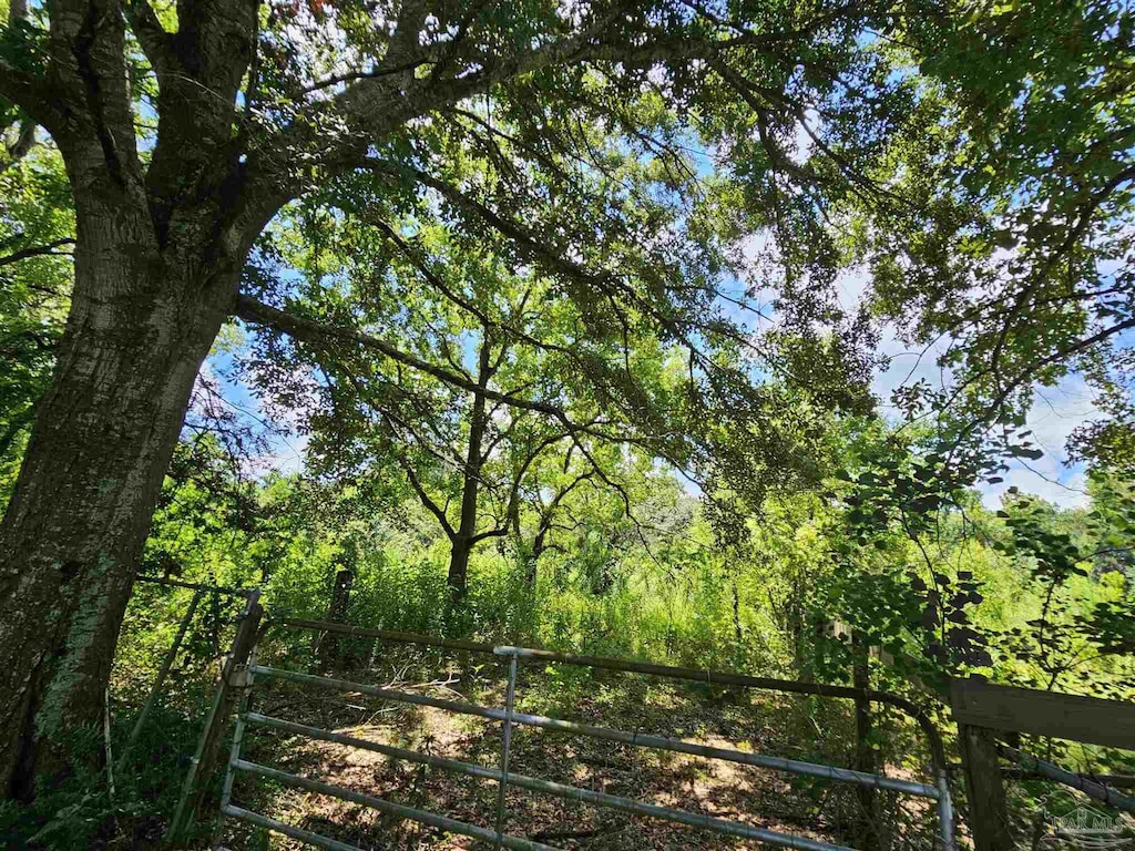 455 W Roberts Rd, Cantonment, FL 32533