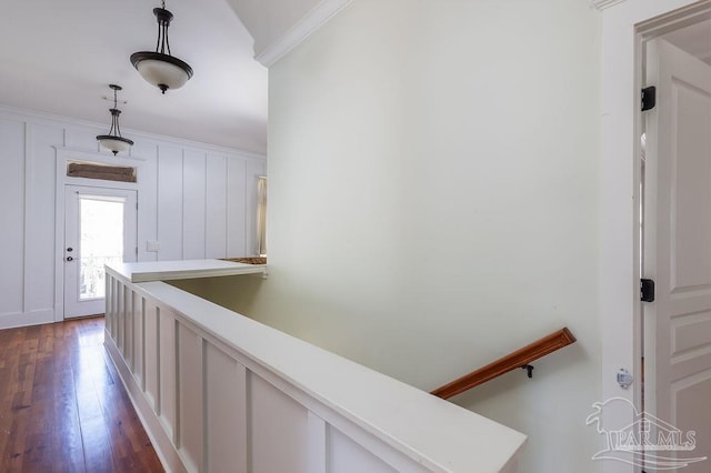 hallway featuring dark wood finished floors, crown molding, and a decorative wall