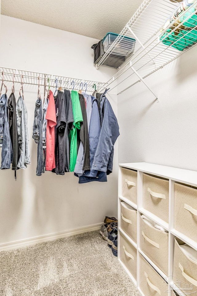 spacious closet with carpet