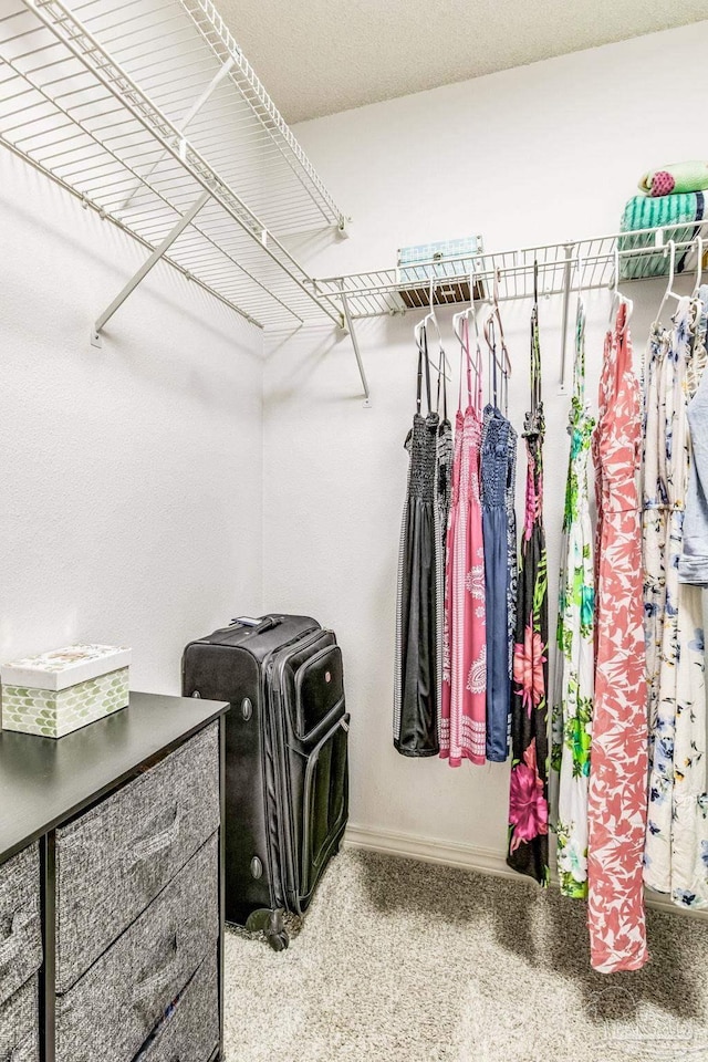 spacious closet featuring carpet