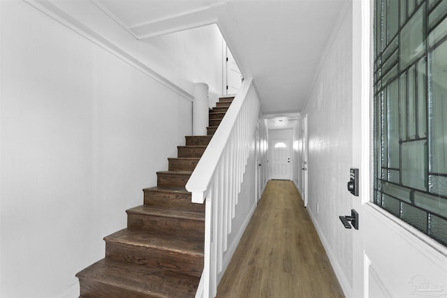 stairs featuring hardwood / wood-style flooring