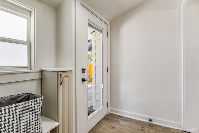 entryway with plenty of natural light and light wood-type flooring