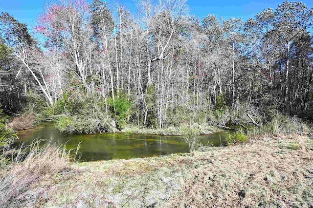 water view featuring a wooded view