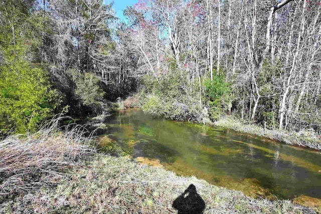 property view of water featuring a wooded view