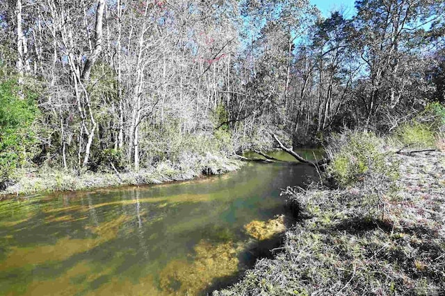 water view featuring a wooded view