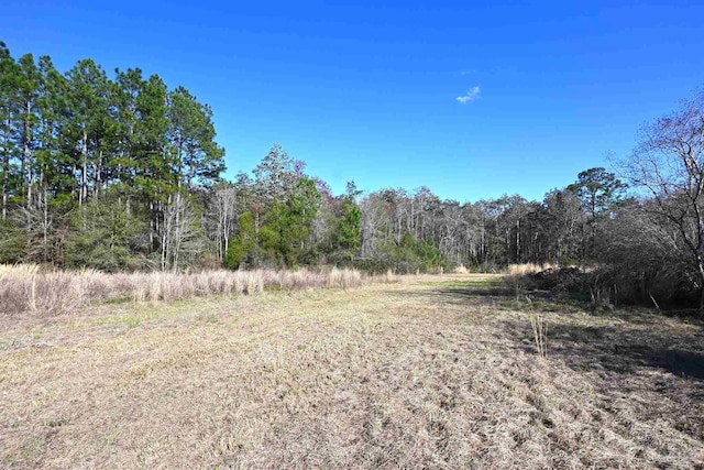 view of landscape featuring a forest view