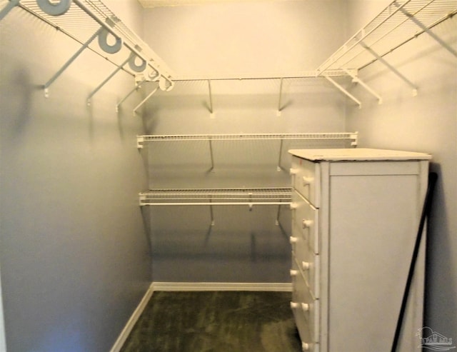 7067 Pine Blossom Rd, Milton, FL 32570 - view of spacious closet