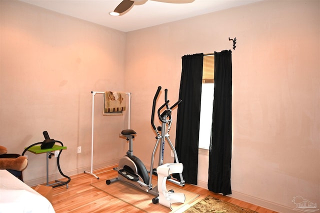 exercise area featuring light hardwood / wood-style floors and ceiling fan