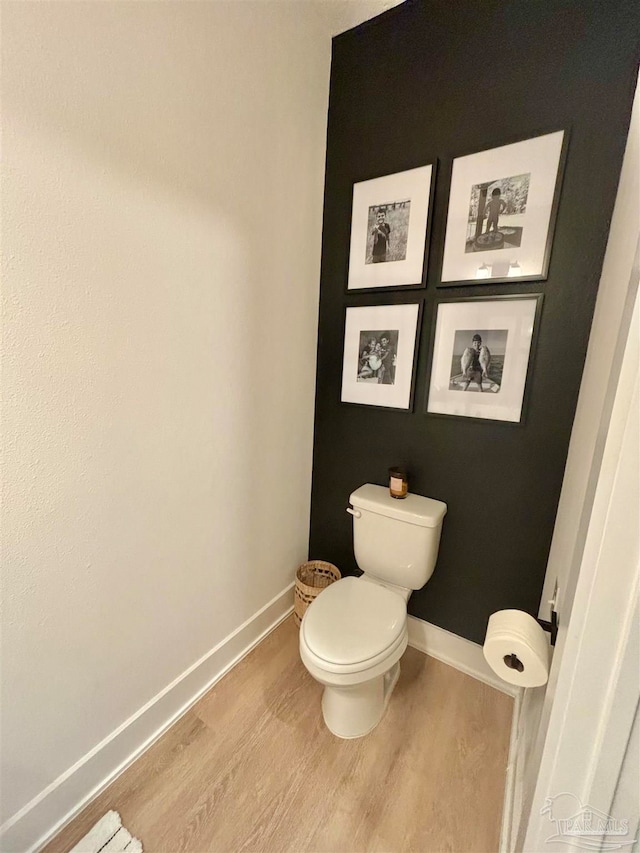 bathroom with wood-type flooring and toilet