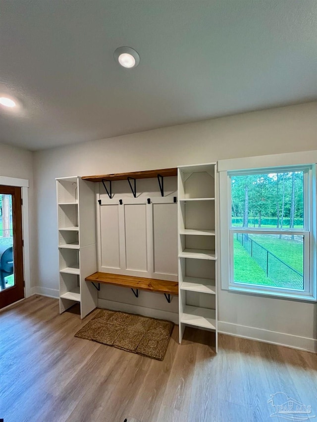 interior space featuring light wood-type flooring and a wealth of natural light