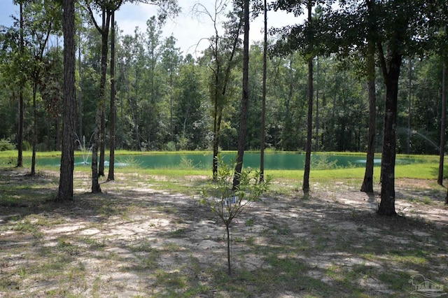 view of yard with a water view