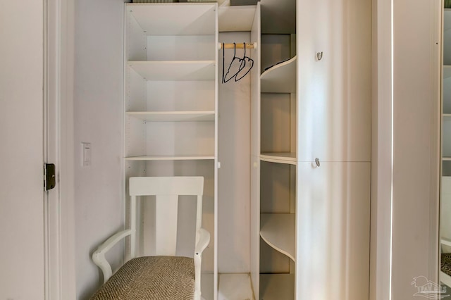 view of closet