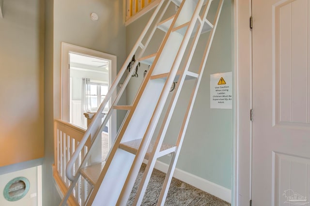 stairs with carpet floors