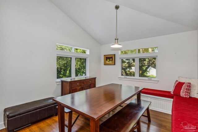 dining room featuring high vaulted ceiling, a wealth of natural light, and dark wood-type flooring