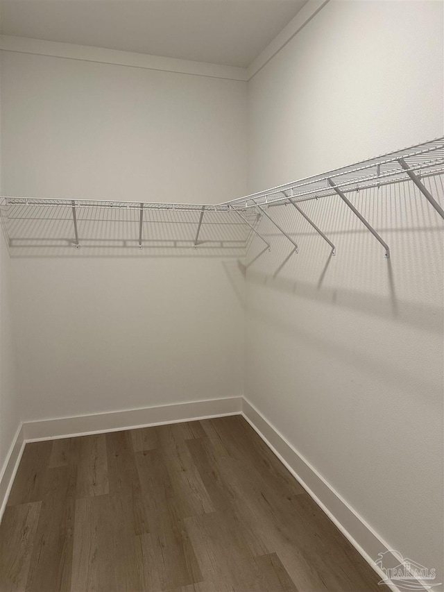 walk in closet with dark wood-style flooring