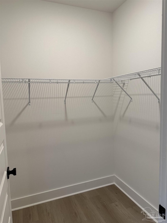 walk in closet featuring dark wood-type flooring