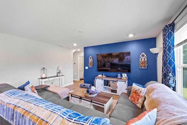 living room featuring hardwood / wood-style floors and a textured ceiling