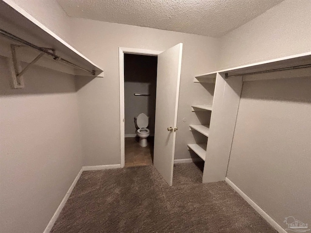 spacious closet featuring carpet flooring