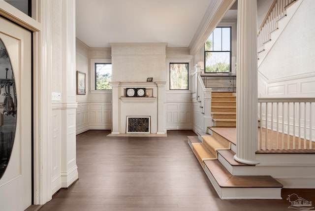 interior space with dark hardwood / wood-style floors and crown molding