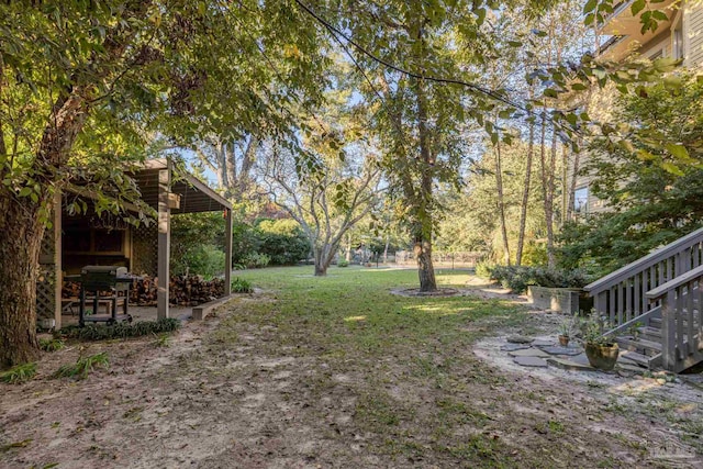 view of yard featuring a patio area