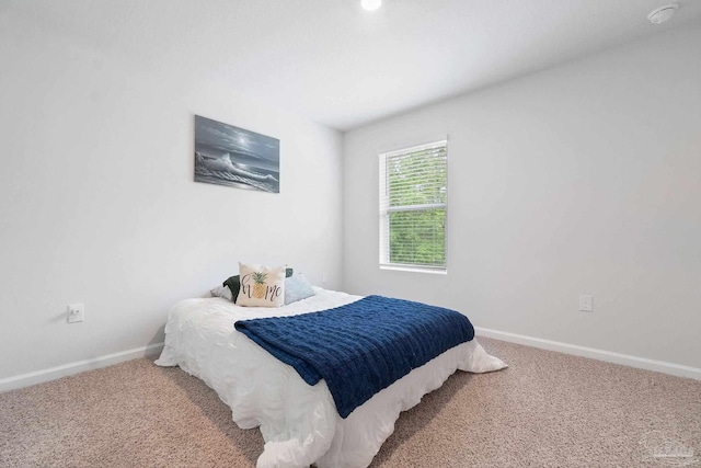 bedroom featuring carpet