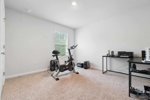 workout room featuring carpet floors