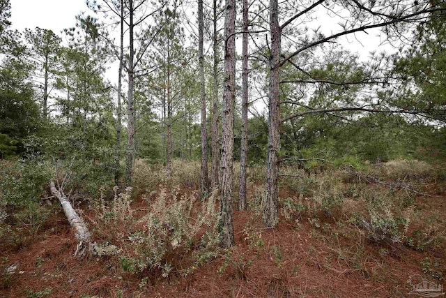 Listing photo 3 for TBD-LOT4 Permenter Rd, Milton FL 32583