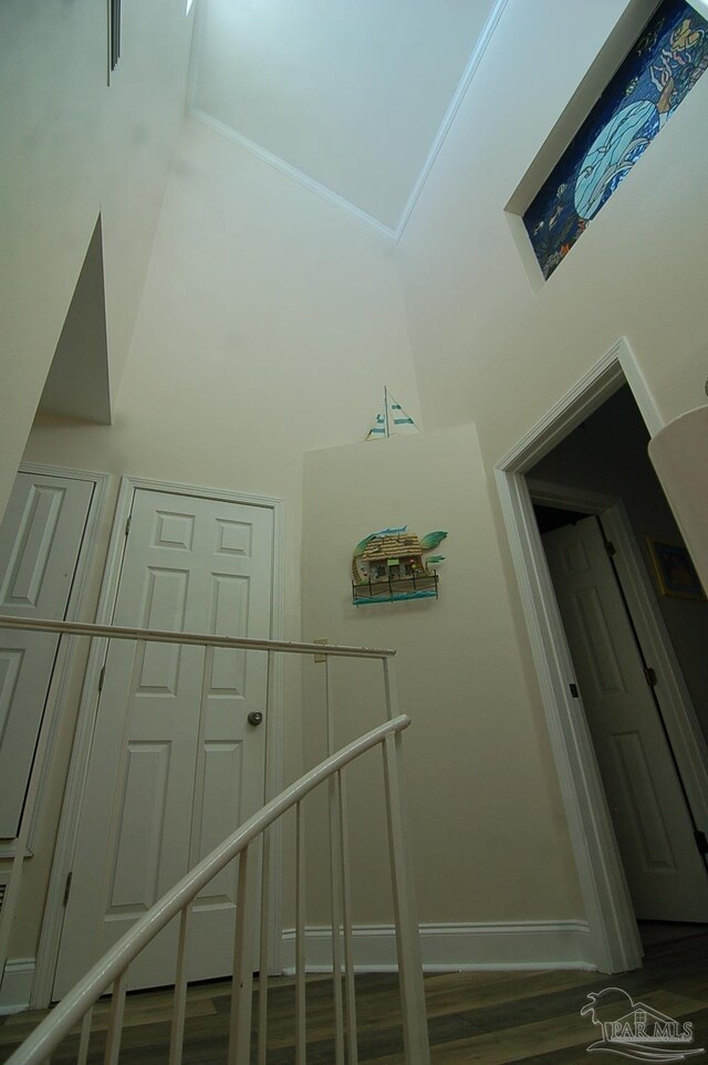 staircase featuring a towering ceiling and hardwood / wood-style floors