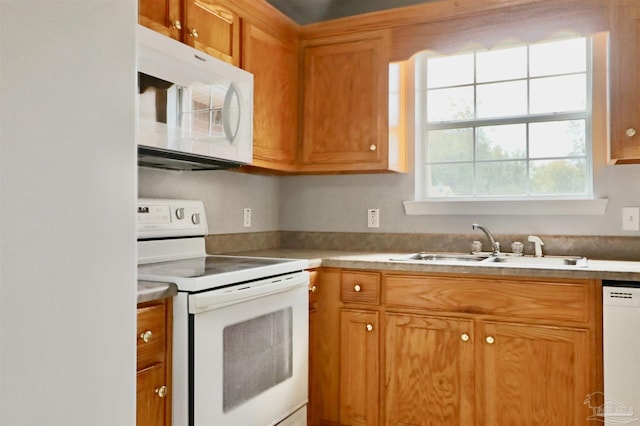 kitchen with white appliances, light countertops, brown cabinets, and a sink