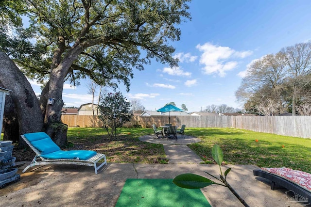 view of yard with a patio area and a fenced backyard