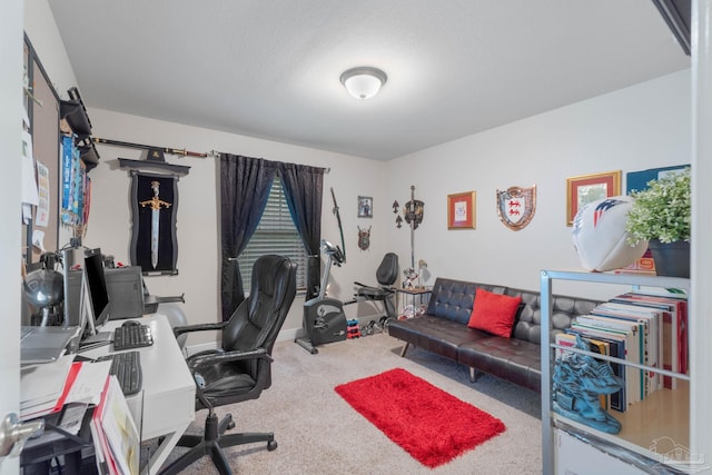 home office with carpet flooring